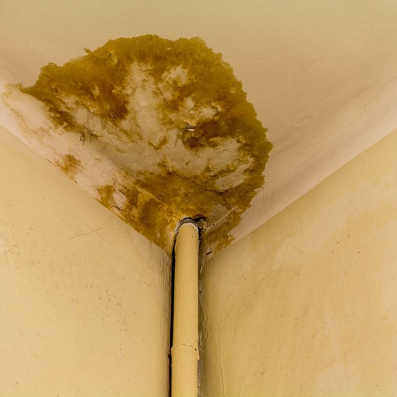 leak in ceiling from a rusty damaged water pipe