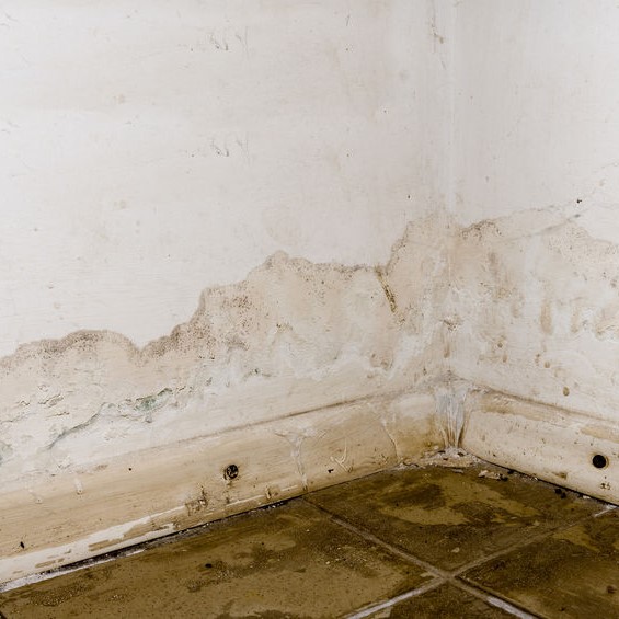 leaking pipe in wall