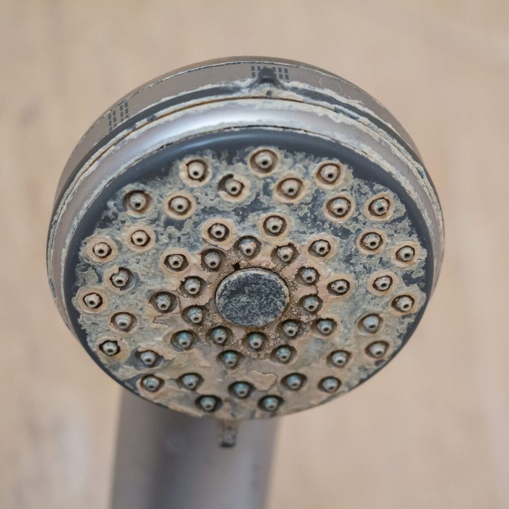 showerhead with limescale build up